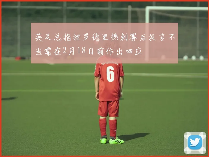 英足总指控罗德里热刺赛后发言不当需在2月18日前作出回应