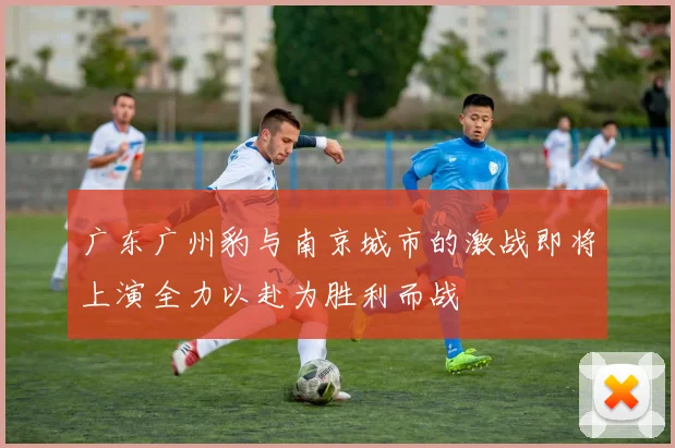 广东广州豹与南京城市的激战即将上演全力以赴为胜利而战