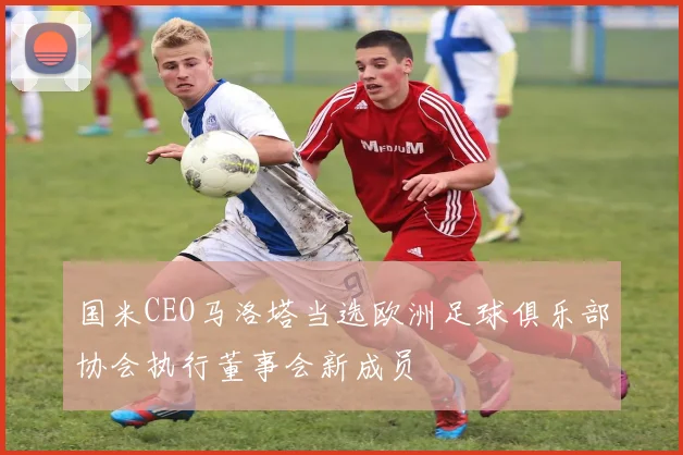 国米CEO马洛塔当选欧洲足球俱乐部协会执行董事会新成员