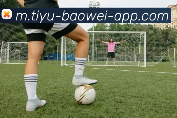 宝威体育平台生态图